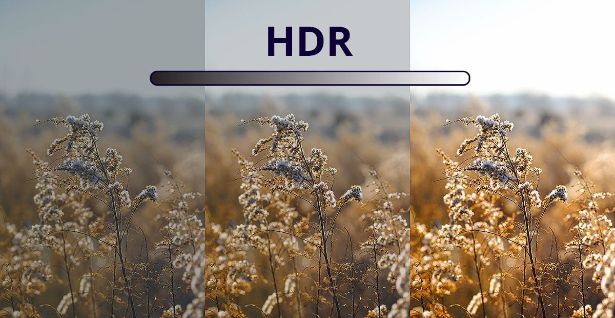 HDR1 HDR1